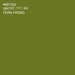 #6B7522 - Fern Frond Color Image